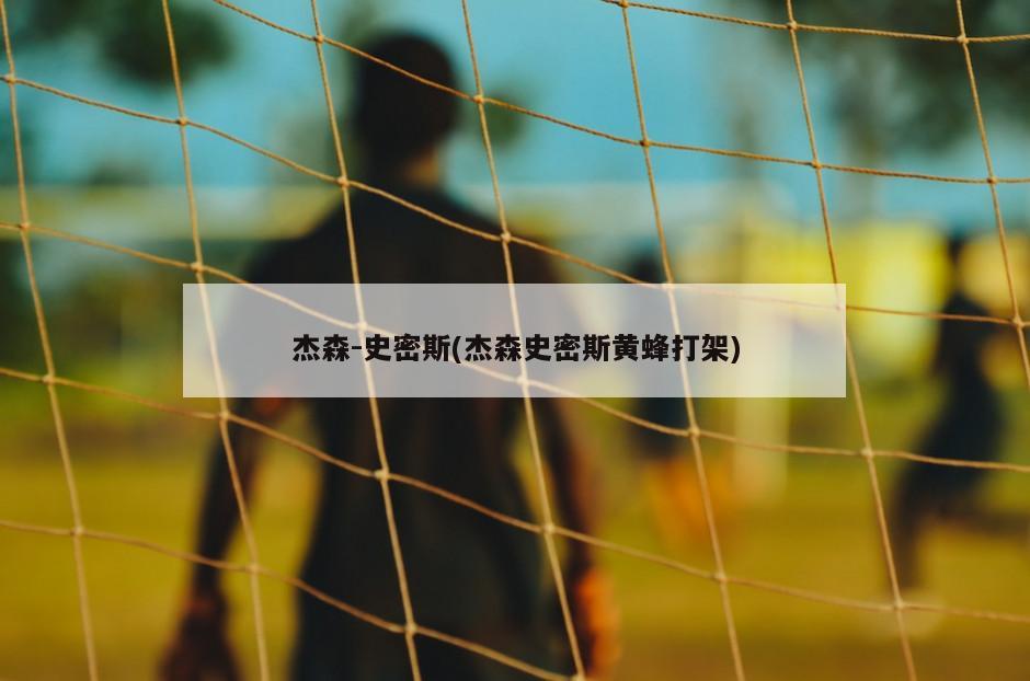 杰森-史密斯(杰森史密斯黄蜂打架)