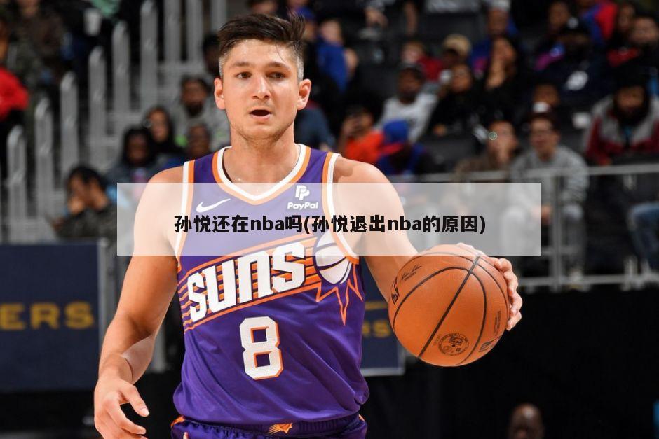 孙悦还在nba吗(孙悦退出nba的原因)