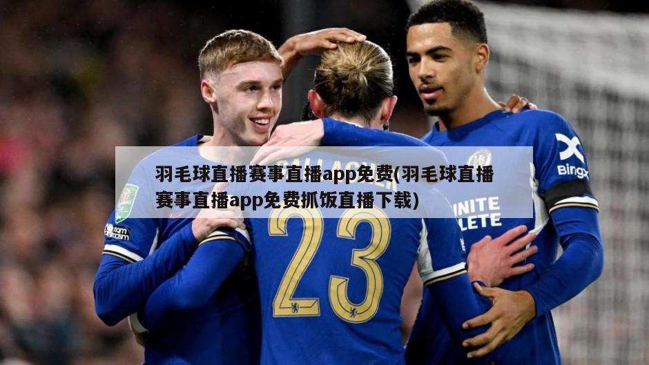 羽毛球直播赛事直播app免费(羽毛球直播赛事直播app免费抓饭直播下载)