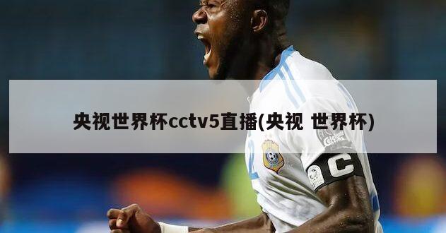 央视世界杯cctv5直播(央视 世界杯)