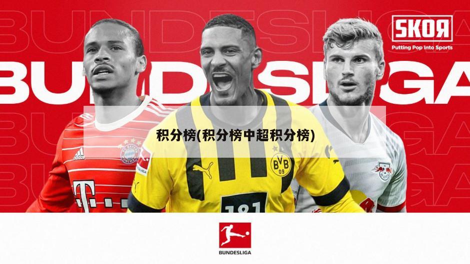 积分榜(积分榜中超积分榜)
