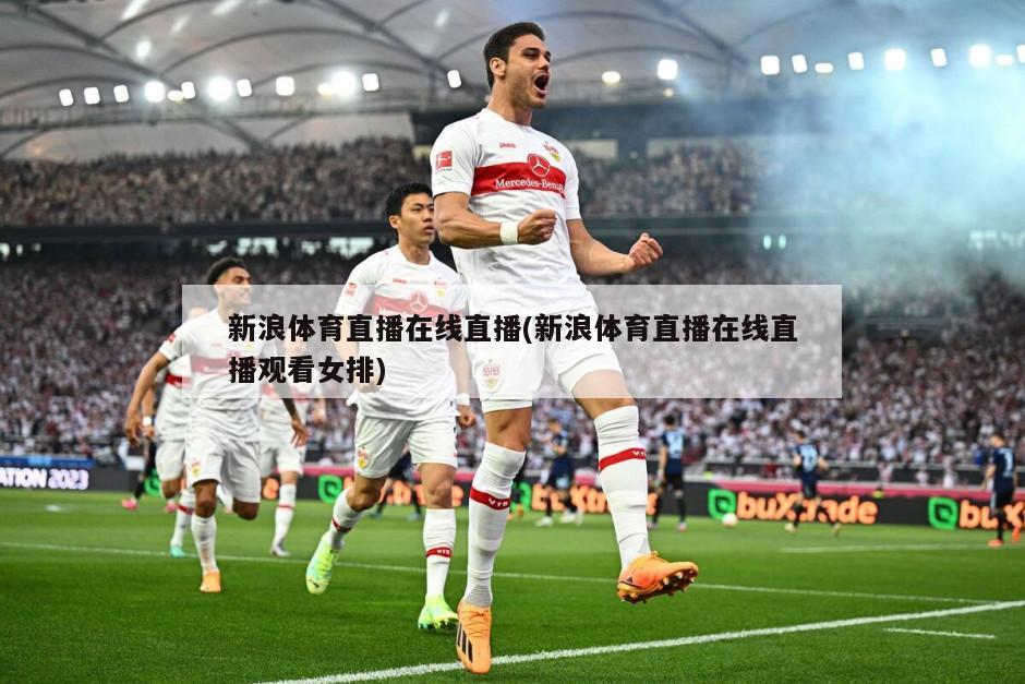 新浪体育直播在线直播(新浪体育直播在线直播观看女排)