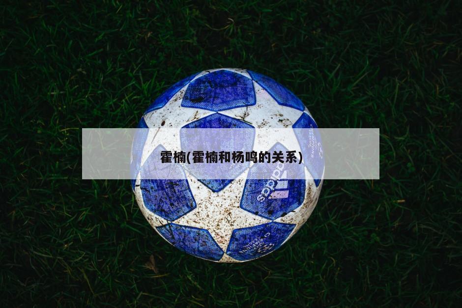 霍楠(霍楠和杨鸣的关系)