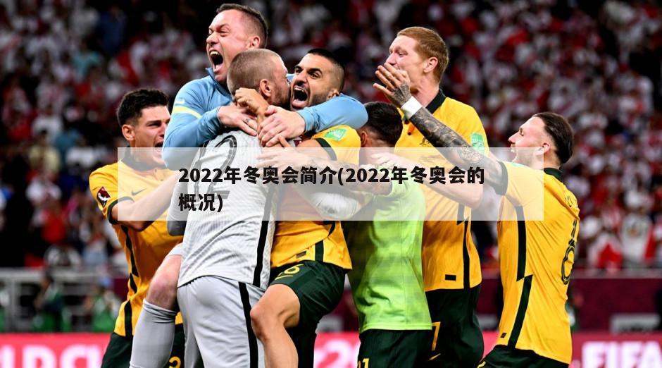 2022年冬奥会简介(2022年冬奥会的概况)