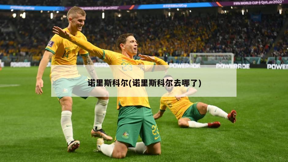 诺里斯科尔(诺里斯科尔去哪了)